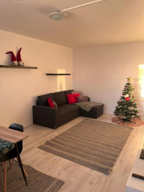 Kaamos apartment